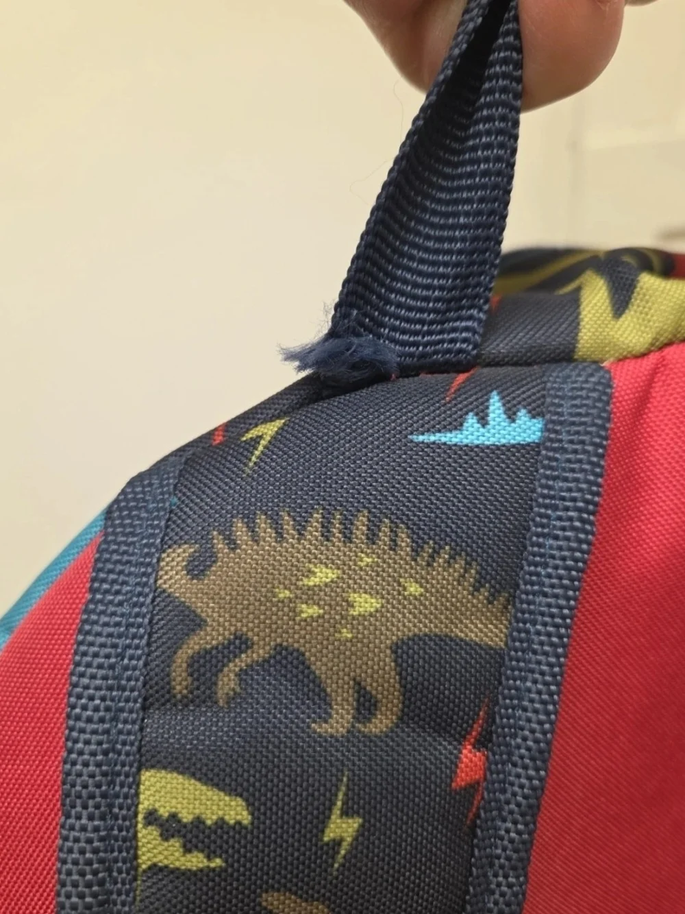 Kids Dinosaur Print Backpack - Multicolor